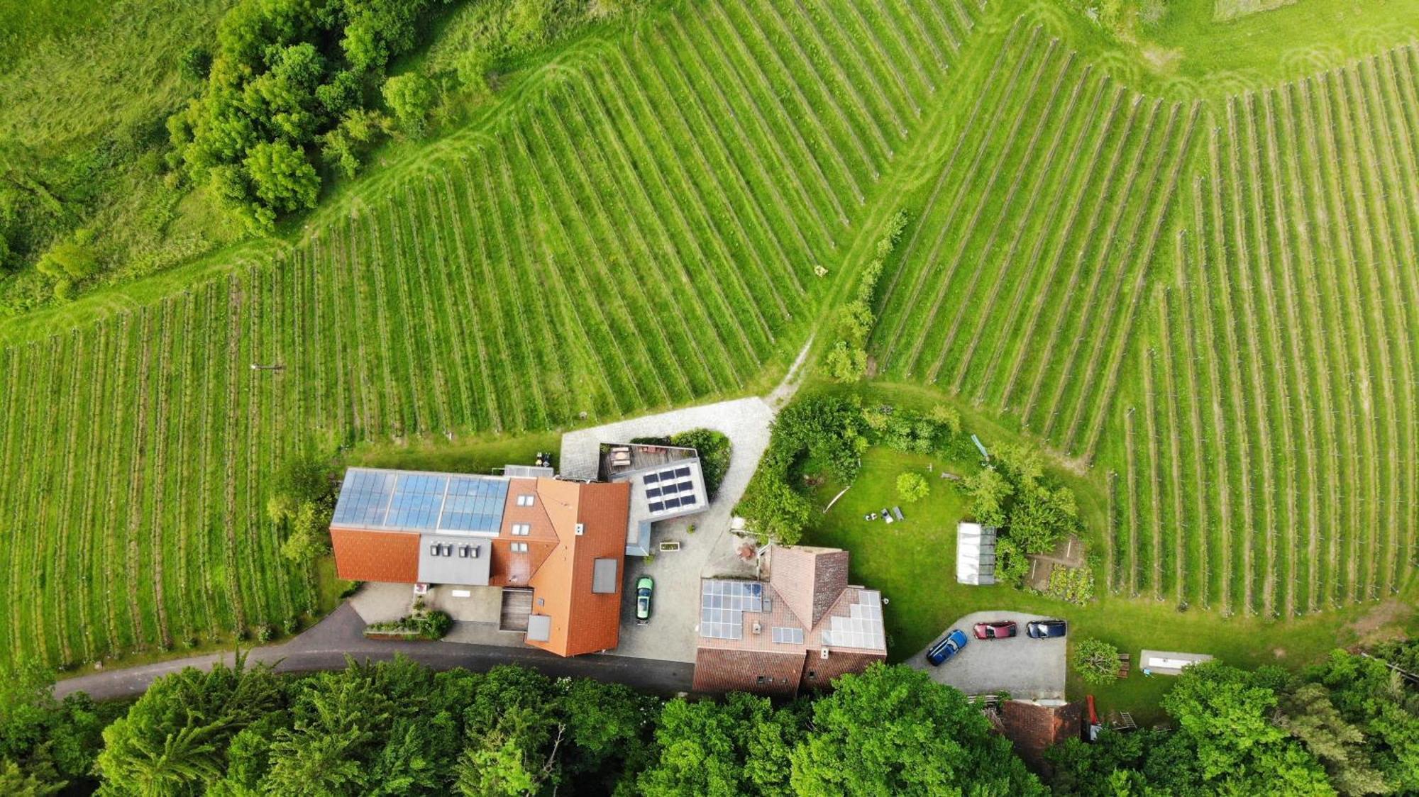 Weingut Spitzypeitler Bed and Breakfast Leutschach Εξωτερικό φωτογραφία